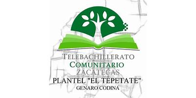 TELEBACHILLERATO COMUNITARIO DE PLANTEL EL TEPETATE
