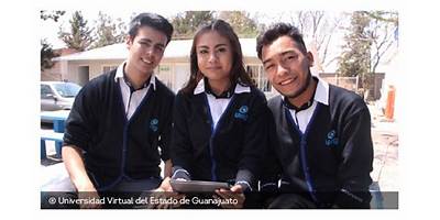 TELEBACHILLERATO COMUNITARIO GUANAJUATO - ARPEROS
