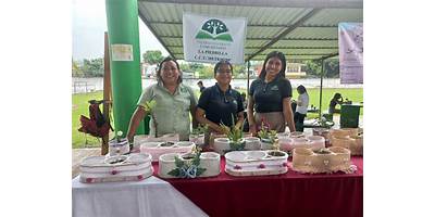 TELEBACHILLERATO COMUNITARIO LA PIEDRILLA