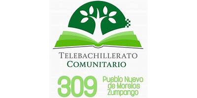 TELEBACHILLERATO COMUNITARIO NUM 309