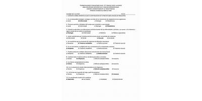 TELEBACHILLERATO COMUNITARIO NÚM. 377 RANCHO VIEJO, LUVIANOS