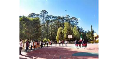 TELEBACHILLERATO COMUNITARIO NÚM. 39, SAN BARTOLO, AMANALCO