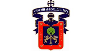 TELEBACHILLERATO FRIJOLILLO