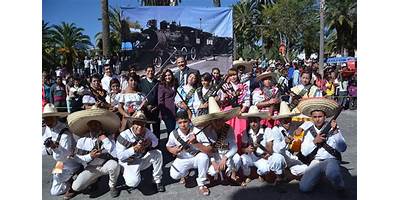 TELEBACHILLERATO HIDALGO AMAJAC