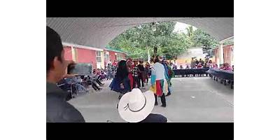 TELEBACHILLERATO LA PIMIENTA