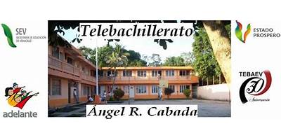 TELEBACHILLERATO LOS LIRIOS