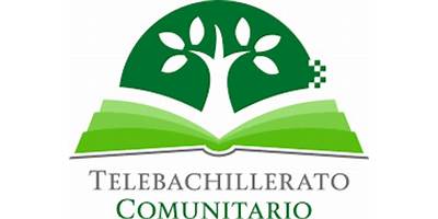 TELEBACHILLERATO LOS MANANTIALES
