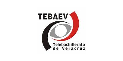 TELEBACHILLERATO LOS MANGOS