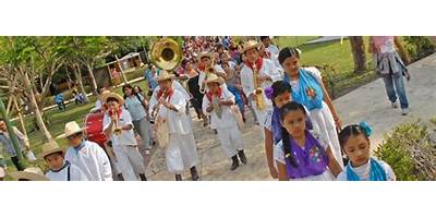 TELEBACHILLERATO LOS ORGANOS