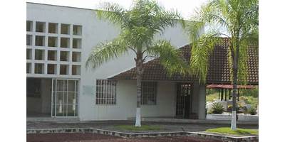 TELEBACHILLERATO PALMILLAS