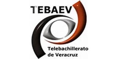 TELEBACHILLERATO PALMIRA