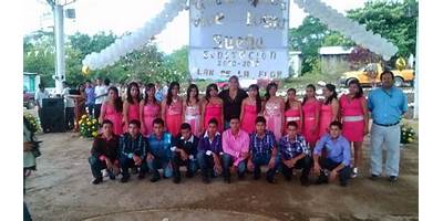 TELEBACHILLERATO PLAN DE LA FLOR