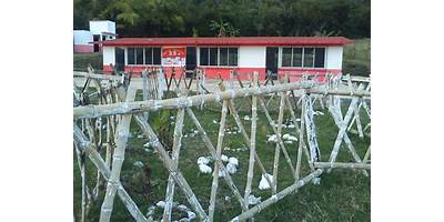 TELEBACHILLERATO XOCHIMILCO