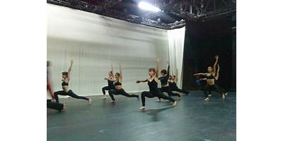 ACADEMIA DE LA DANZA MEXICANA