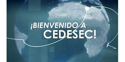 CENTRO DE DESARROLLO DE LA EMPRESA CONSCIENTE