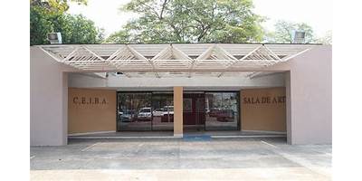 CENTRO DE ESTUDIOS E INVESTIGACION DE LAS BELLAS ARTES (CEIBA)