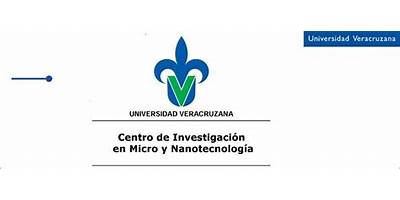 CENTRO DE INVESTIGACIÓN EN MICRO Y NANOTECNOLOGÍA