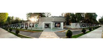 CENTRO DE INVESTIGACION Y DE ESTUDIOS AVANZADOS DEL IPN