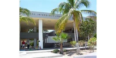 CENTRO INTERDISCIPLINARIO DE CIENCIAS MARINAS DEL I.P.