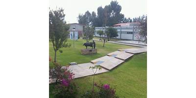 CENTRO UNIVERSITARIO DE CIENCIAS BIOLOGICAS Y AGROPECUARIAS