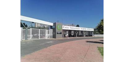 CENTRO UNIVERSITARIO INTERNACIONAL DE MEXICO CAMPUS NEZA