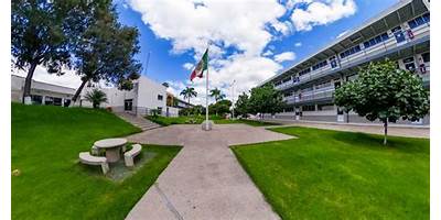 CENTRO UNIVERSITARIO UNE