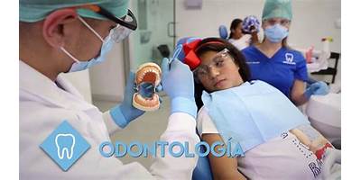 CINEO, INSTITUTO DE EDUCACION Y DESARROLLO PROFESIONAL DE ODONTOLOGIA