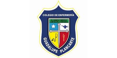 COLEGIO DE ENFERMERÍA GUADALUPE PLANCARTE
