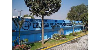 COLEGIO DE POSGRADUADOS