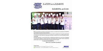 COOK INSTITUTO CULINARIO DE EDUCACIÓN SUPERIOR