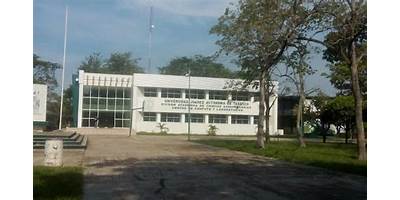 DIVISIÓN ACADÉMICA DE CIENCIAS AGROPECUARIAS