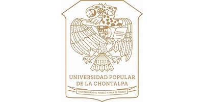 DIVISION DE CIENCIAS DEL HOMBRE