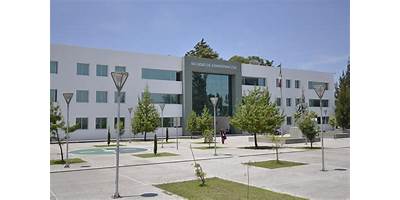 FACULTAD DE ADMINISTRACION