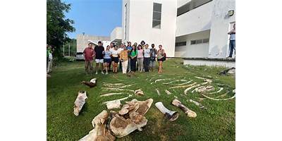 FACULTAD DE CIENCIAS MARINAS