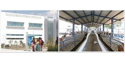 FACULTAD DE MEDICINA VETERINARIA Y ZOOTECNIA