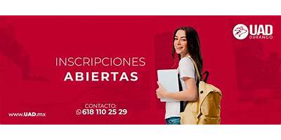 INSTITUTO DE ACTUALIZACION PROFESIONAL