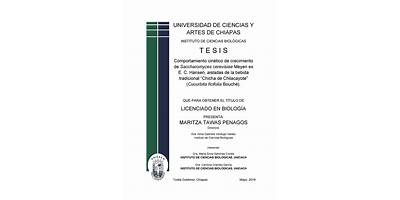 INSTITUTO DE CIENCIAS BIOLOGICAS SUBSEDE ACAPETAHUA