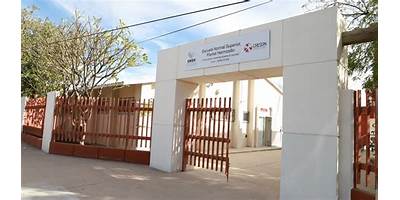 INSTITUTO DE DESARROLLO ESTRATEGICO Y EDUCACION SUPERIOR