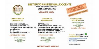 INSTITUTO PROFESIONAL DOCENTE