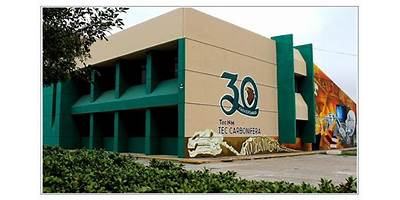 INSTITUTO TECNOLOGICO DE ESTUDIOS SUPERIORES DE LA REGION CARBONIFERA