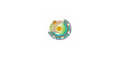 INSTITUTO TECNOLOGICO DEL NORTE DE NAYARIT