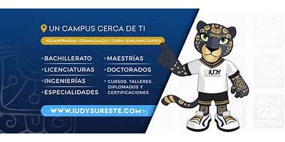 INSTITUTO UNIVERSITARIO DE YUCATÁN