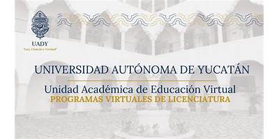 UNIDAD ACADEMICA DE EDUCACION VIRTUAL