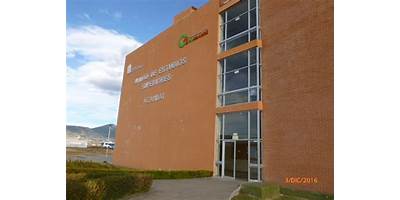 UNIDAD DE ESTUDIOS SUPERIORES ACAMBAY