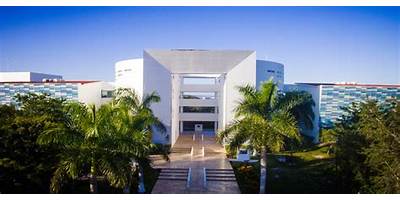 UNIVERSIDAD AUTÓNOMA DEL ESTADO DE QUINTANA ROO CAMPUS CANCÚN