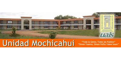 UNIVERSIDAD AUTONOMA INDIGENA DE MEXICO UNIDAD MOCHICAHUI