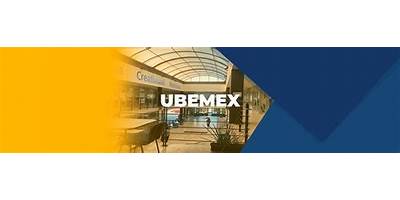 UNIVERSIDAD BENEMÉRITA EMPRESARIAL DE MÉXICO UBEMEX
