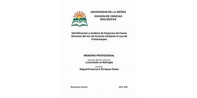 UNIVERSIDAD DE LA SIERRA DIVISION DE CIENCIAS BIOLOGICAS