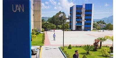 UNIVERSIDAD DE MEXICO