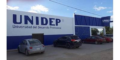 UNIVERSIDAD DEL DESARROLLO PROFESIONAL